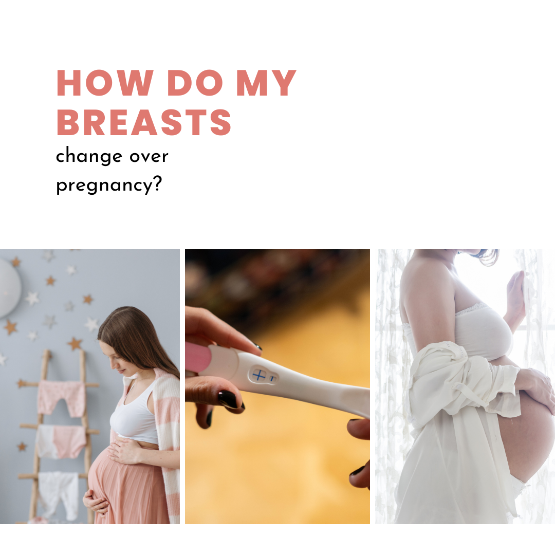 How do my breast change over pregnancy
