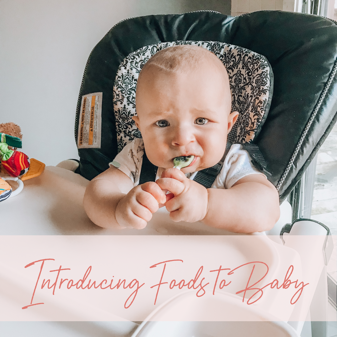 When Should You Introduce Food to Your Baby and How?