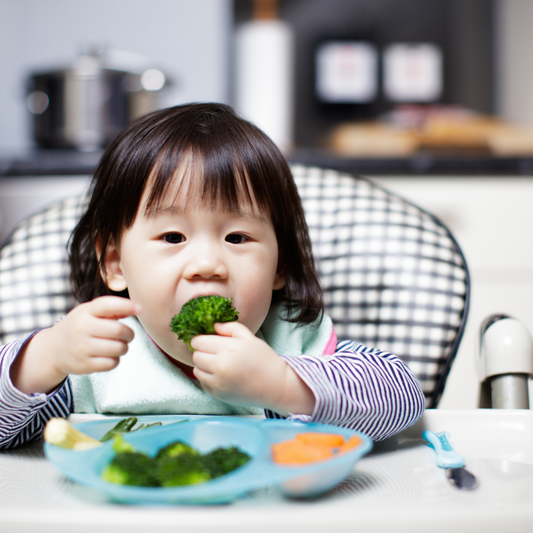 Baby Led Weaning – All You Need To Know