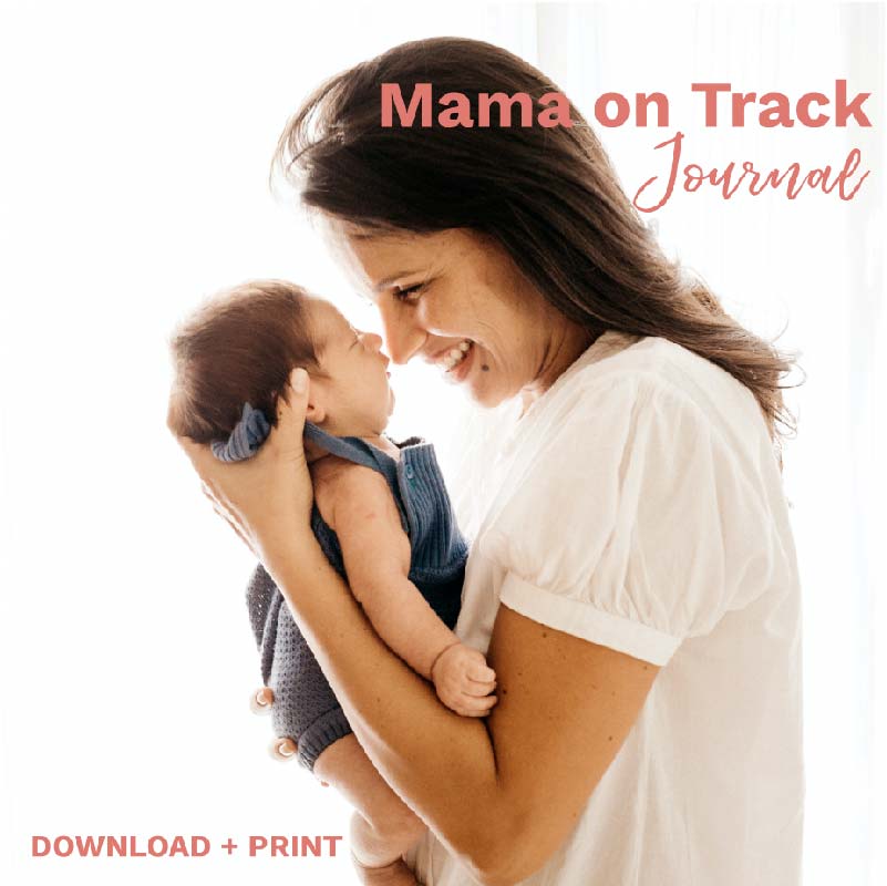 The Mama on Track Journal helps busy moms stay on track and not miss a moment. This digital download is instantly available and makes a great gift for the new moms in your life.